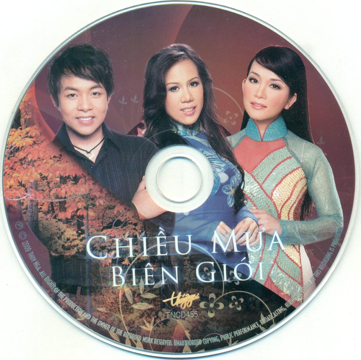 CHIỀU MƯA BIÊN GIỚI - THUÝ NGA CD455 - Ảnh 3