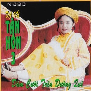 ĐÁM CƯỚI TRÊN ĐƯỜNG QUÊ - DẠ VŨ TÂN HÔN 3 - NĐBD CD